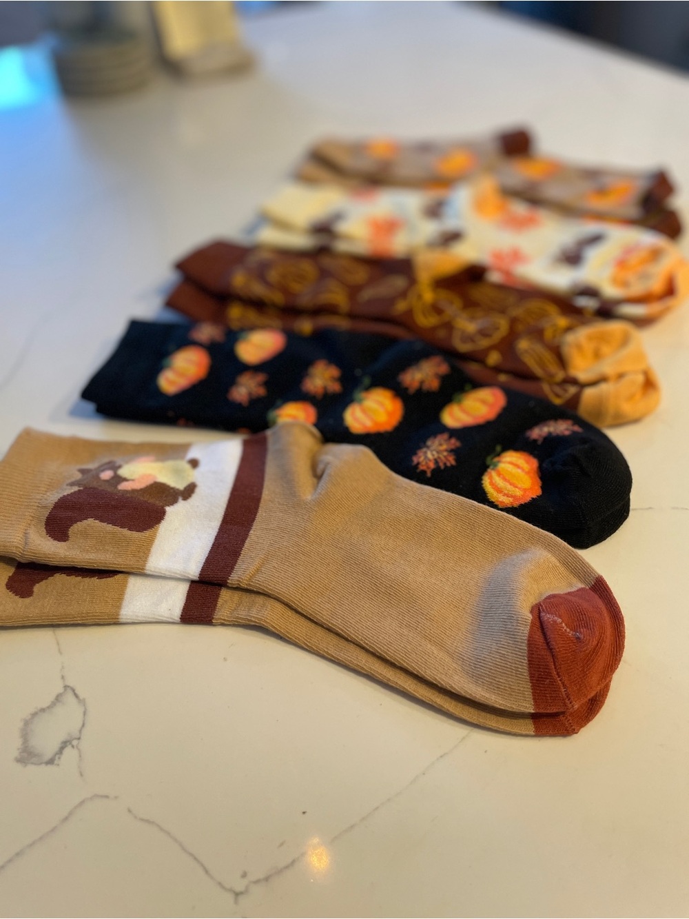 Autumn Pumpkin & Thanksgiving Crew Socks - Pack of 5 - Tan, Brown, Black, Cream - Picture 4 of 6